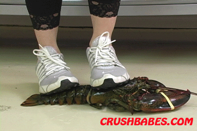 Lobster Crush Fetish