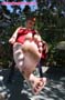 feet-leg_a22_0924