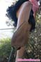 giant_a22_0672