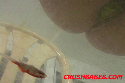 CR0391