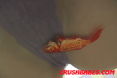 CR0405