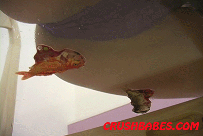 CR0406