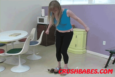 CR0445