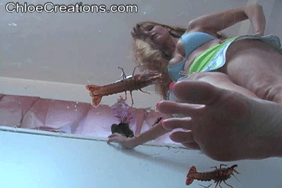 CR0577