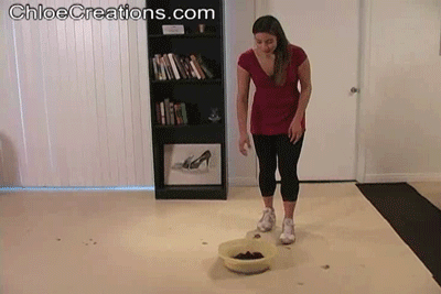CR0688