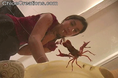CR0691